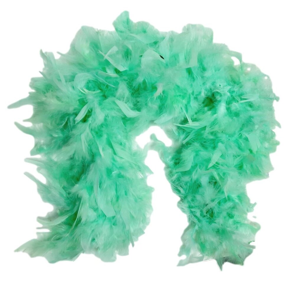 Mint Green 3 Ct Chandelle Feather Boa 45 gm 2 yds